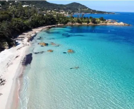 Catalina La Mexicaine * Ucciani