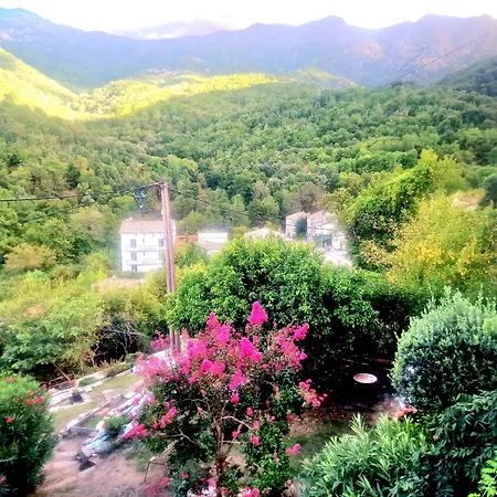 Catalina La Mexicaine Appartement Ucciani