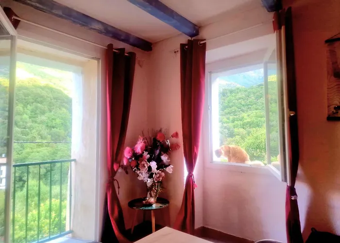 Appartement Catalina La Mexicaine Ucciani