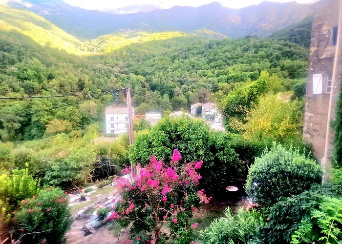 Catalina La Mexicaine Appartement Ucciani